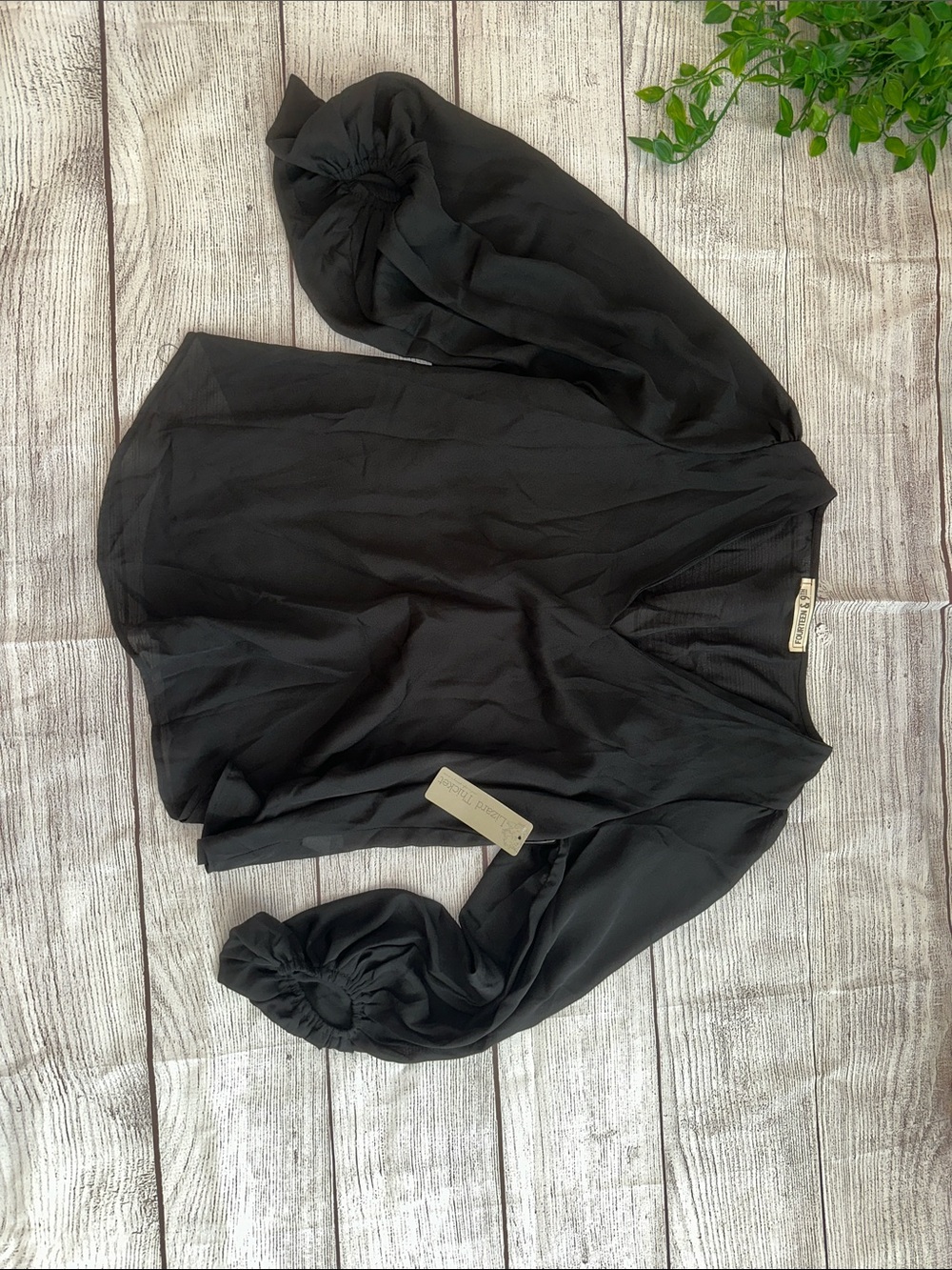 Club Monaco Black V-Neck Sheer Blouse